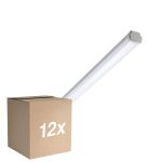 Multipack 12x Philips Réglette LED Étanche WT060C 28W 3400lm - 840 Blanc Froid | 150cm
